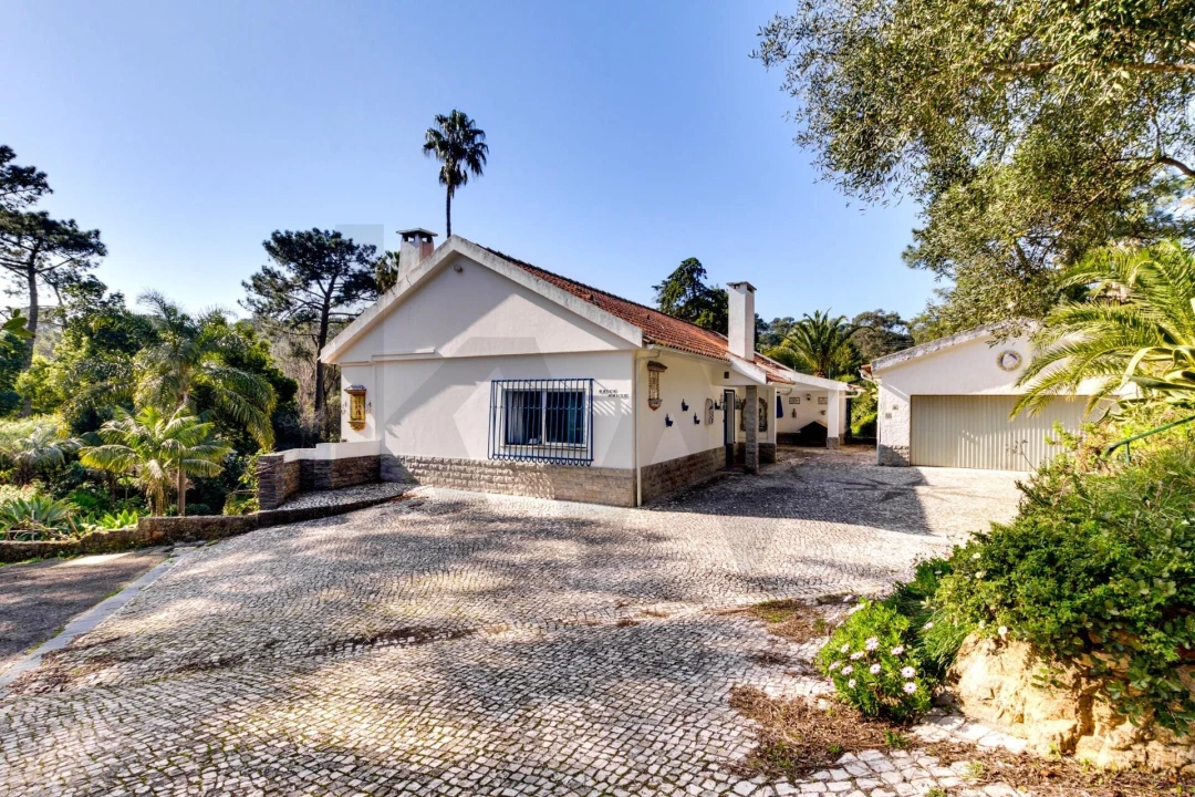 Quinta T10 para Venda em Cascais e Estoril Foto 37