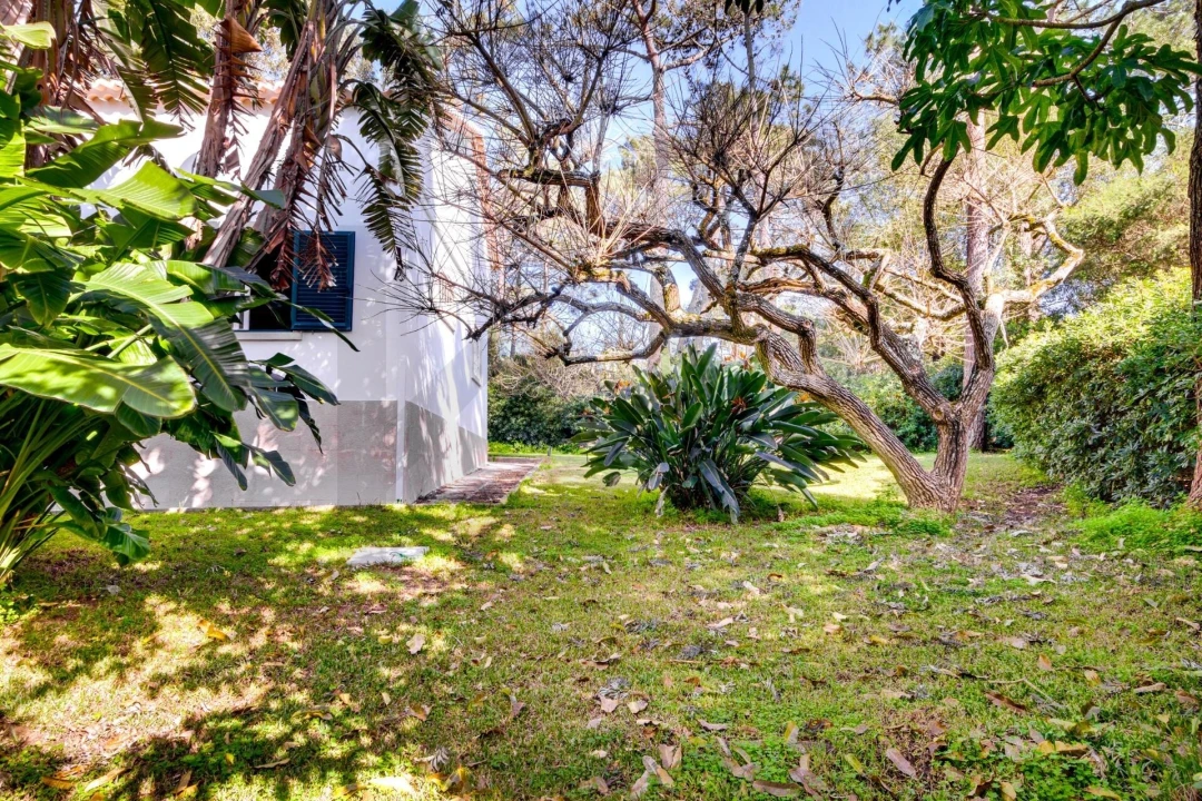 Quinta T10 para Venda em Cascais e Estoril Foto 31