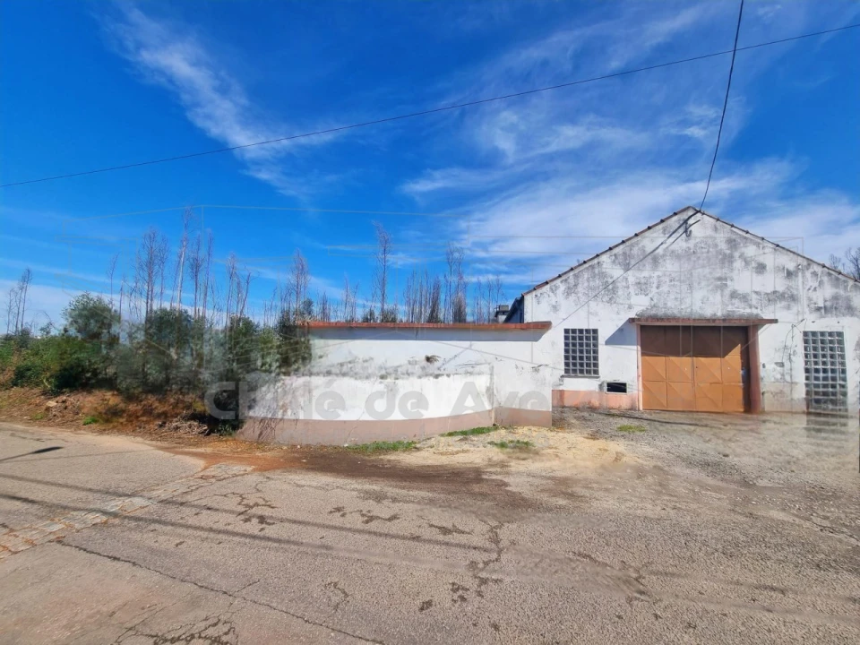 Terreno Misto para Venda em Albergaria-A-Velha e Valmaior Foto 1