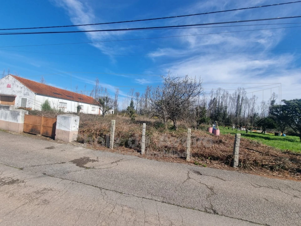 Terreno Misto para Venda em Albergaria-A-Velha e Valmaior Foto 3