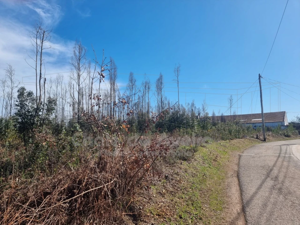 Terreno Misto para Venda em Albergaria-A-Velha e Valmaior Foto 6