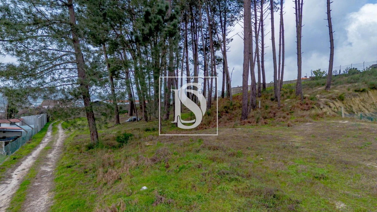 Terreno para Venda em Fregim Foto 22