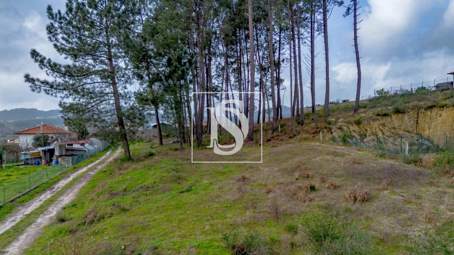 Terreno para Venda em Fregim Foto 26