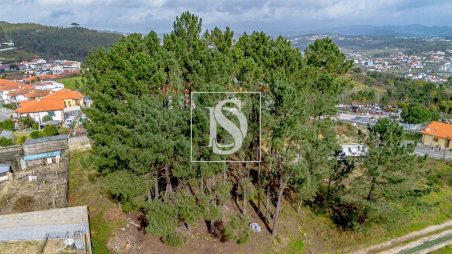 Terreno para Venda em Fregim Foto 13