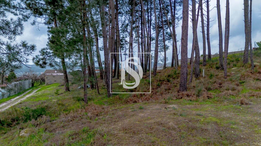 Terreno para Venda em Fregim Foto 23