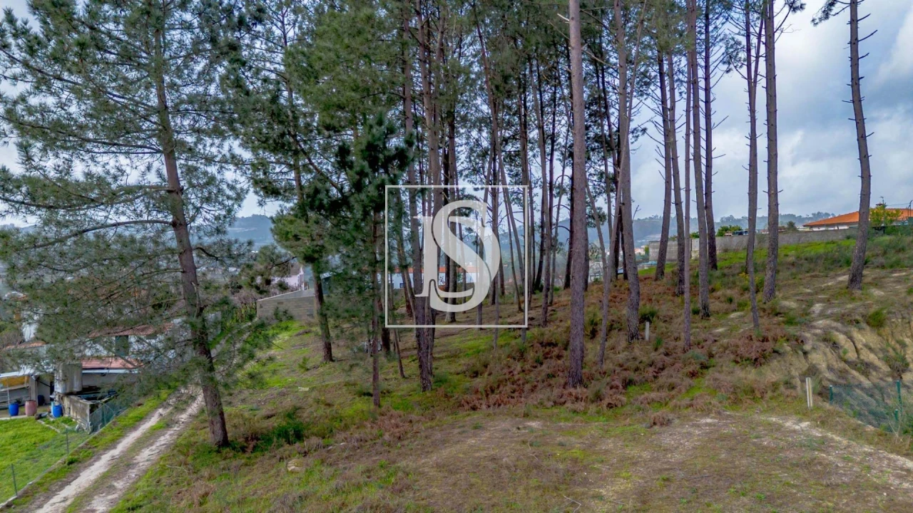 Terreno para Venda em Fregim Foto 25