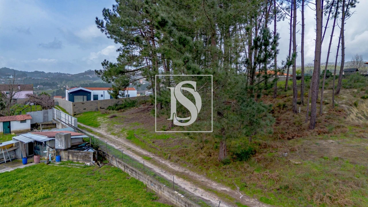 Terreno para Venda em Fregim Foto 19