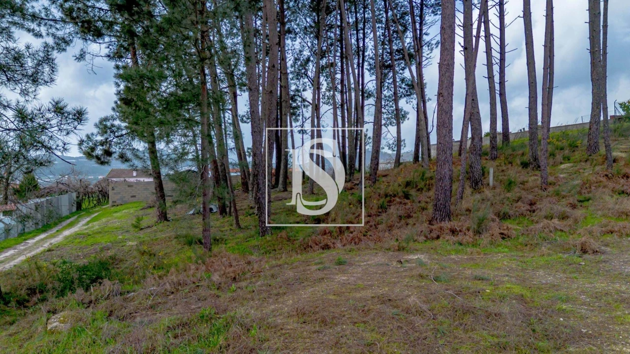 Terreno para Venda em Fregim Foto 23