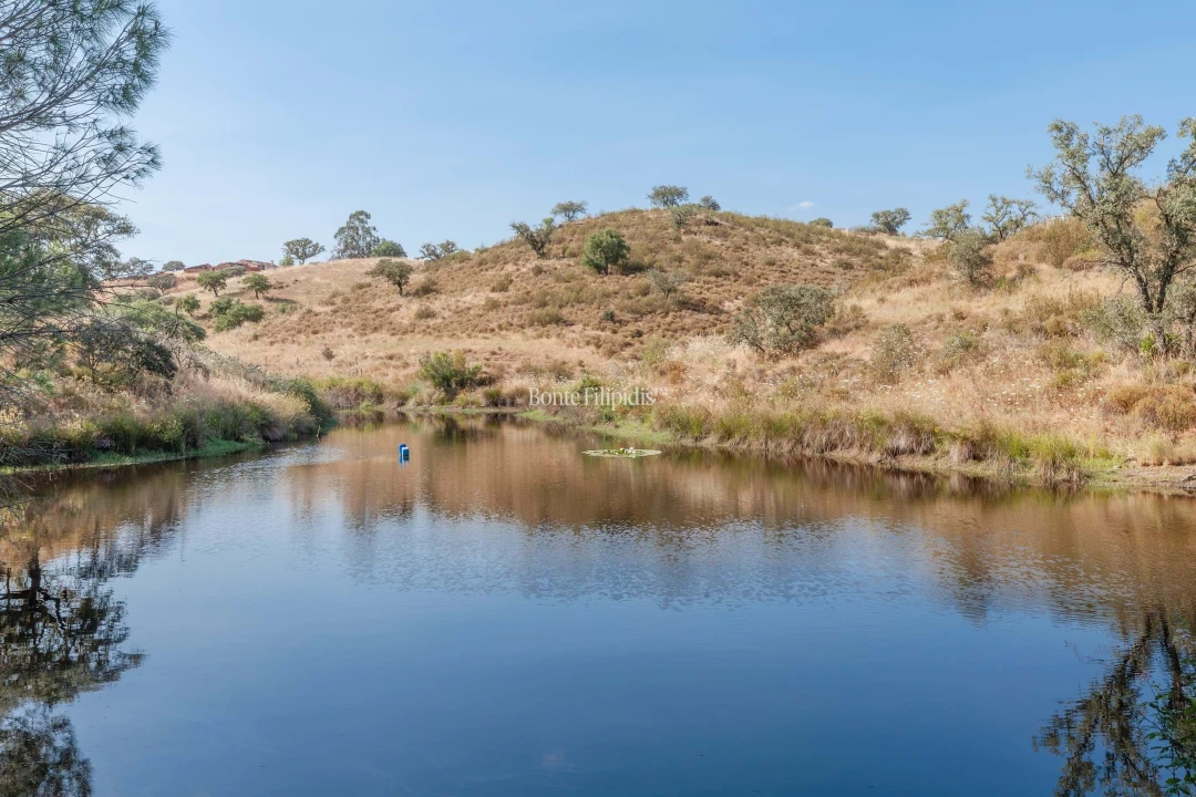Negócio para Venda em Serpa (Salvador e Santa Maria) Foto 25