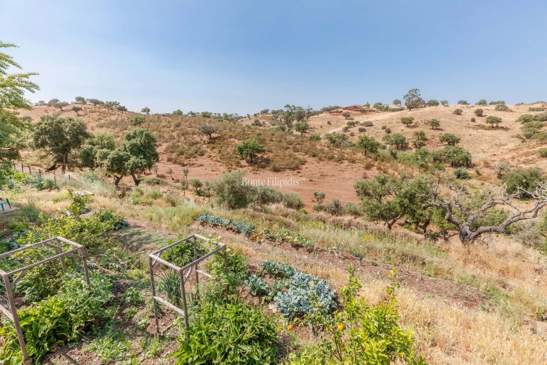 Negócio para Venda em Serpa (Salvador e Santa Maria) Foto 14