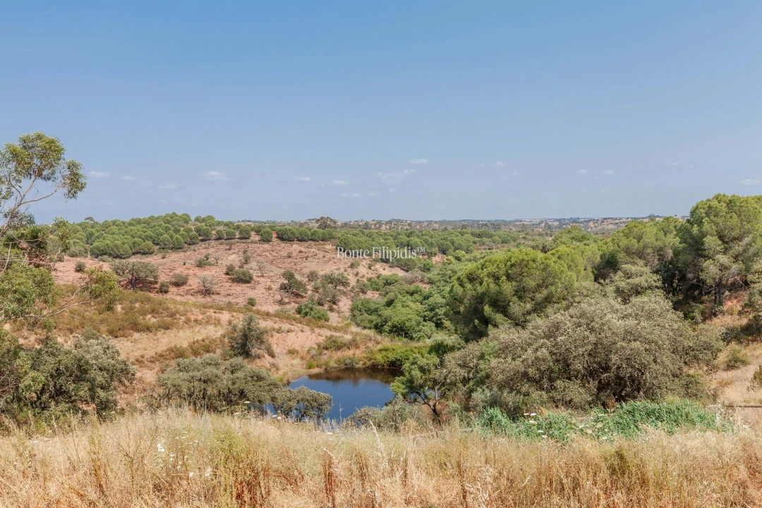 Negócio para Venda em Serpa (Salvador e Santa Maria) Foto 22