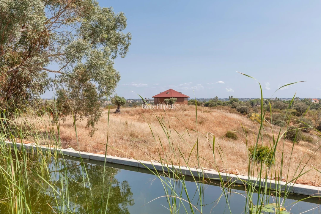 Negócio para Venda em Serpa (Salvador e Santa Maria) Foto 16