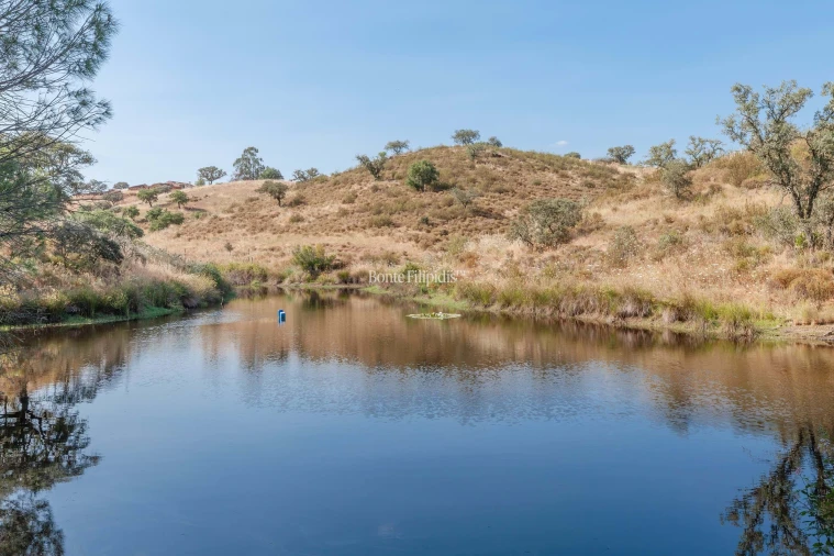 Negócio para Venda em Serpa (Salvador e Santa Maria) Foto 25
