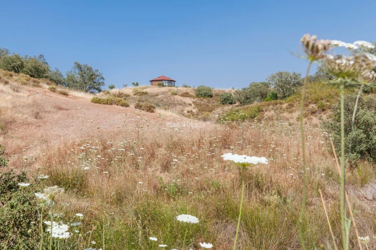 Negócio para Venda em Serpa (Salvador e Santa Maria) Foto 23