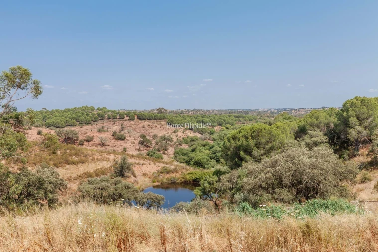 Negócio para Venda em Serpa (Salvador e Santa Maria) Foto 22
