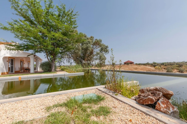 Negócio para Venda em Serpa (Salvador e Santa Maria) Foto 17