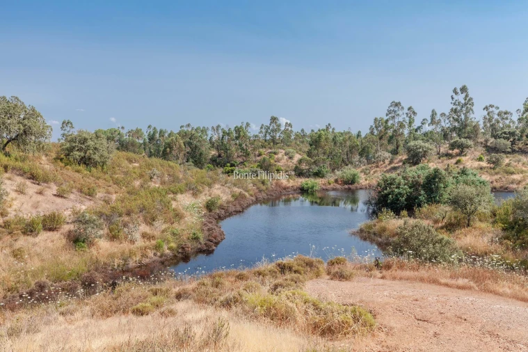 Negócio para Venda em Serpa (Salvador e Santa Maria) Foto 21
