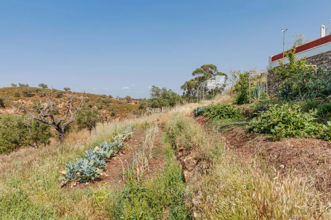Negócio para Venda em Serpa (Salvador e Santa Maria) Foto 19
