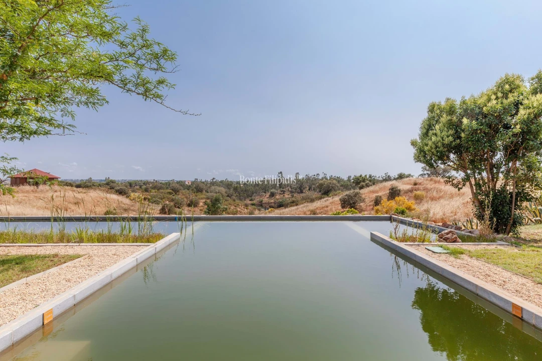 Negócio para Venda em Serpa (Salvador e Santa Maria) Foto 18