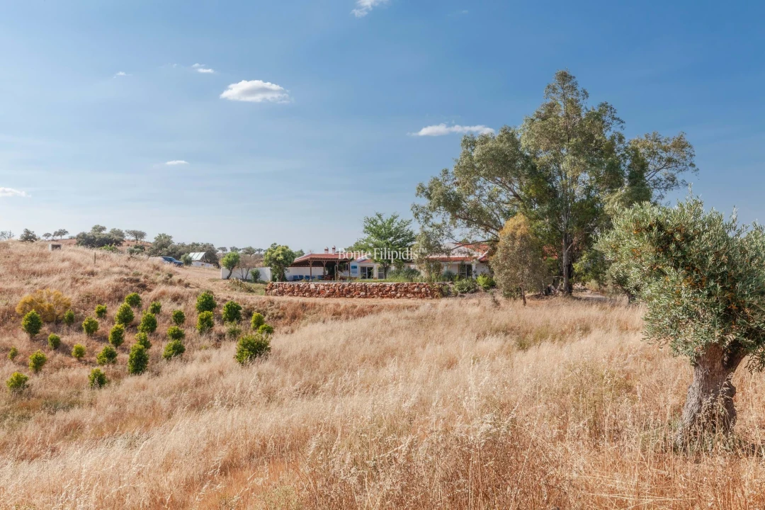 Negócio para Venda em Serpa (Salvador e Santa Maria) Foto 27