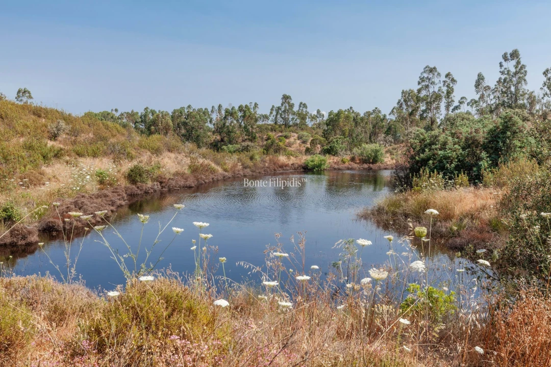 Negócio para Venda em Serpa (Salvador e Santa Maria) Foto 20