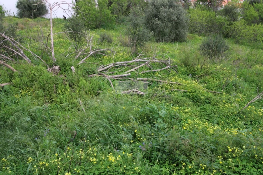 Terreno para Venda em Lagos (São Sebastião e Santa Maria) Foto 3