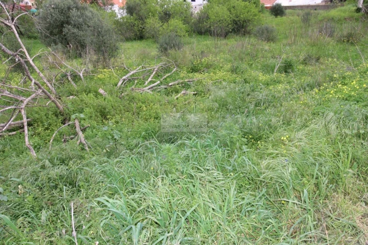 Terreno para Venda em Lagos (São Sebastião e Santa Maria) Foto 2
