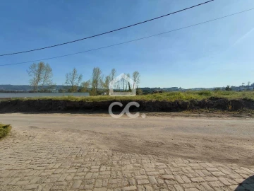 Terreno para Venda em Silvares, Pias, Nogueira e Alvarenga