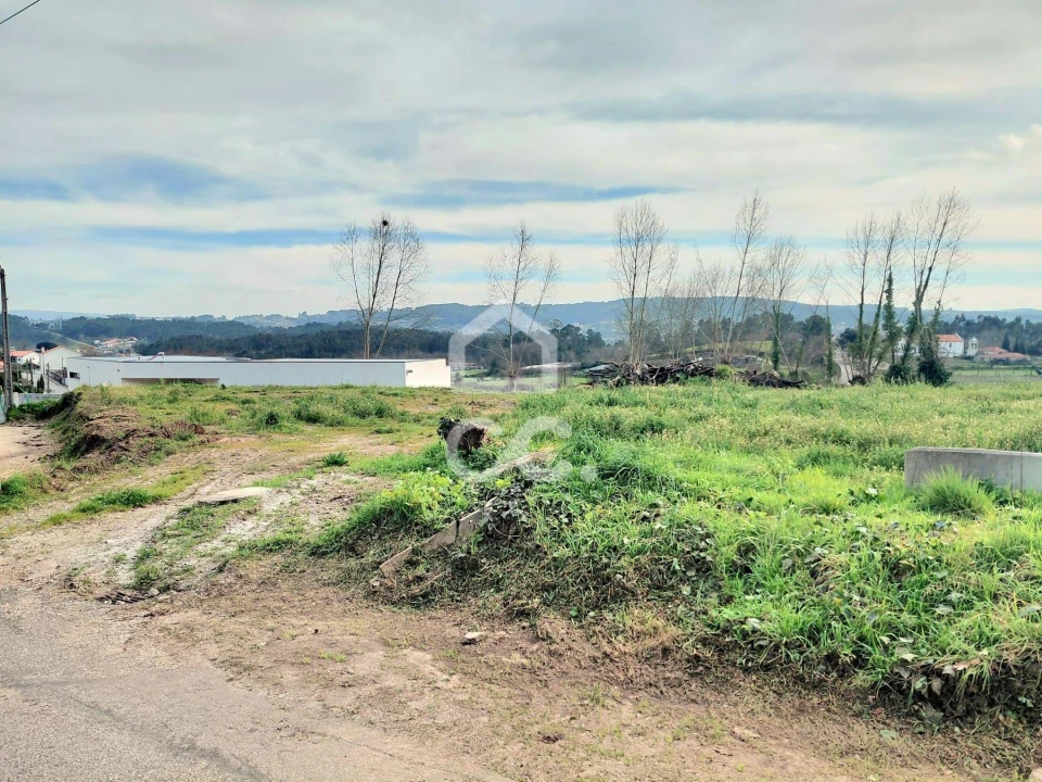 Terreno para Venda em Silvares, Pias, Nogueira e Alvarenga Foto 2