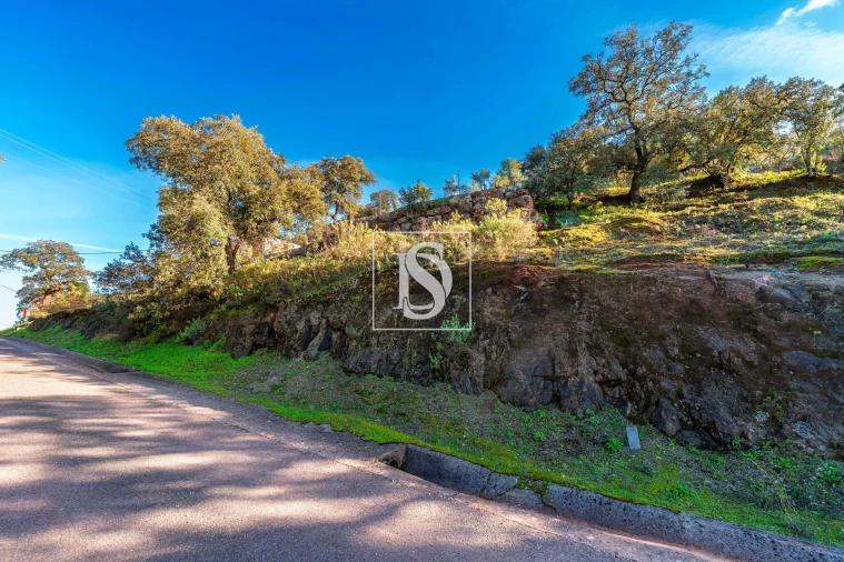 Terreno para Venda em Loule (São Clemente) Foto 27