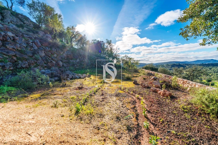 Terreno para Venda em Loule (São Clemente) Foto 25
