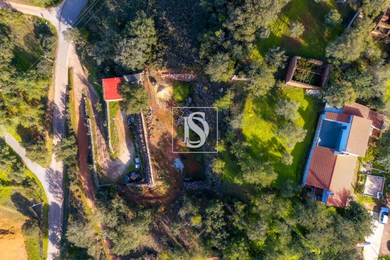 Terreno para Venda em Loule (São Clemente) Foto 4