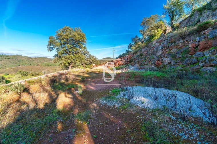 Terreno para Venda em Loule (São Clemente) Foto 21