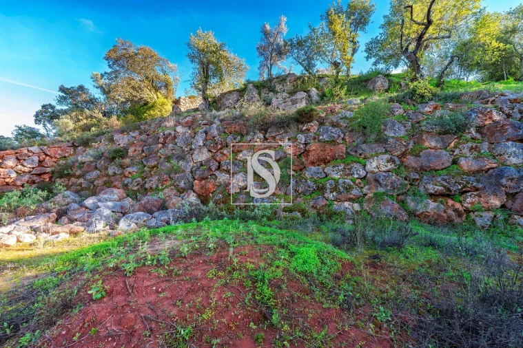 Terreno para Venda em Loule (São Clemente) Foto 23