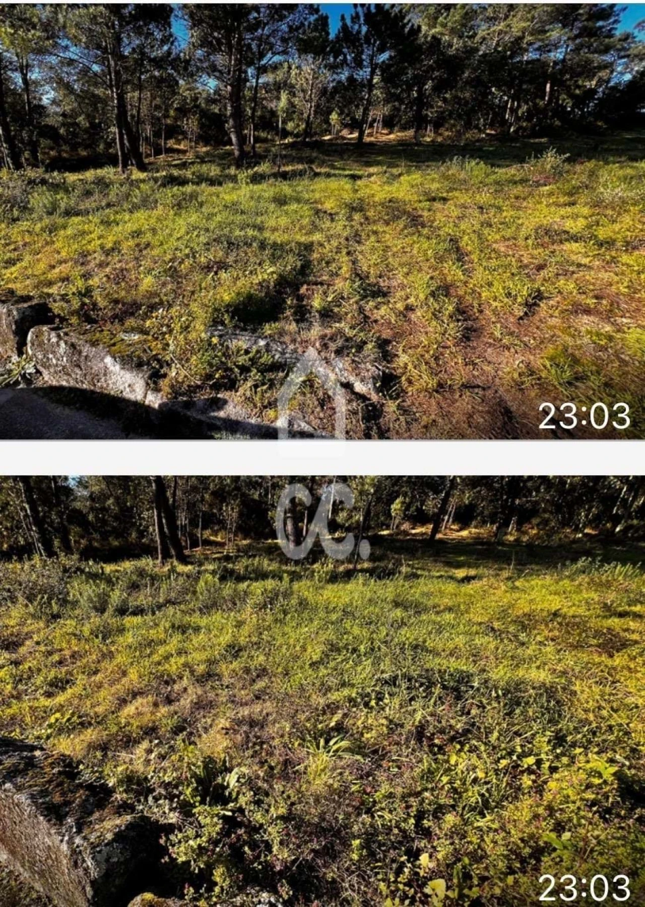 Terreno para Venda em Santa Maria Maior e Monserrate e Meadela Foto 1