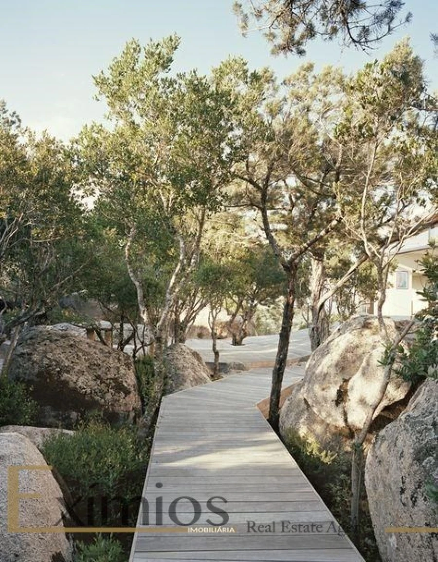 Terreno para Venda em Lavradas Foto 27