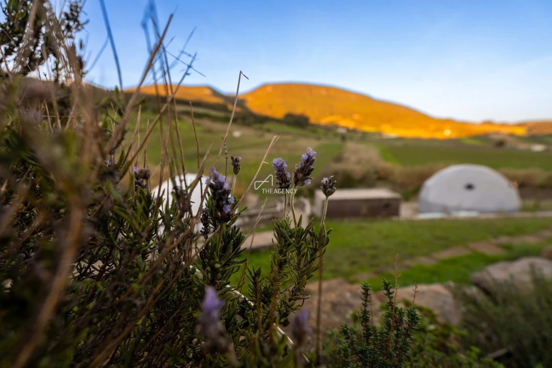 Quinta para Venda em Vila Verde dos Francos Foto 59