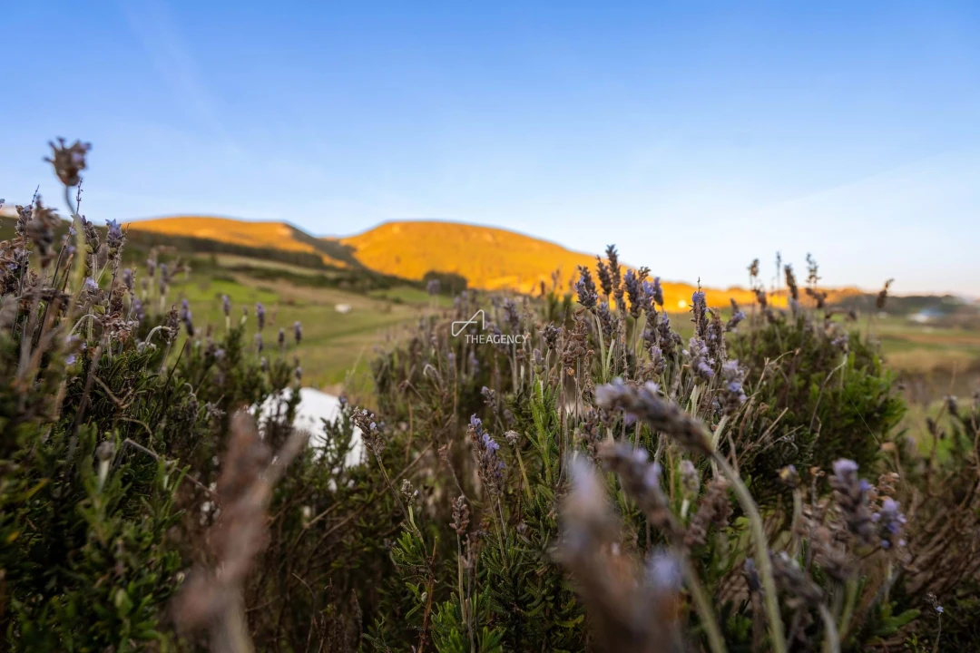 Quinta para Venda em Vila Verde dos Francos Foto 60