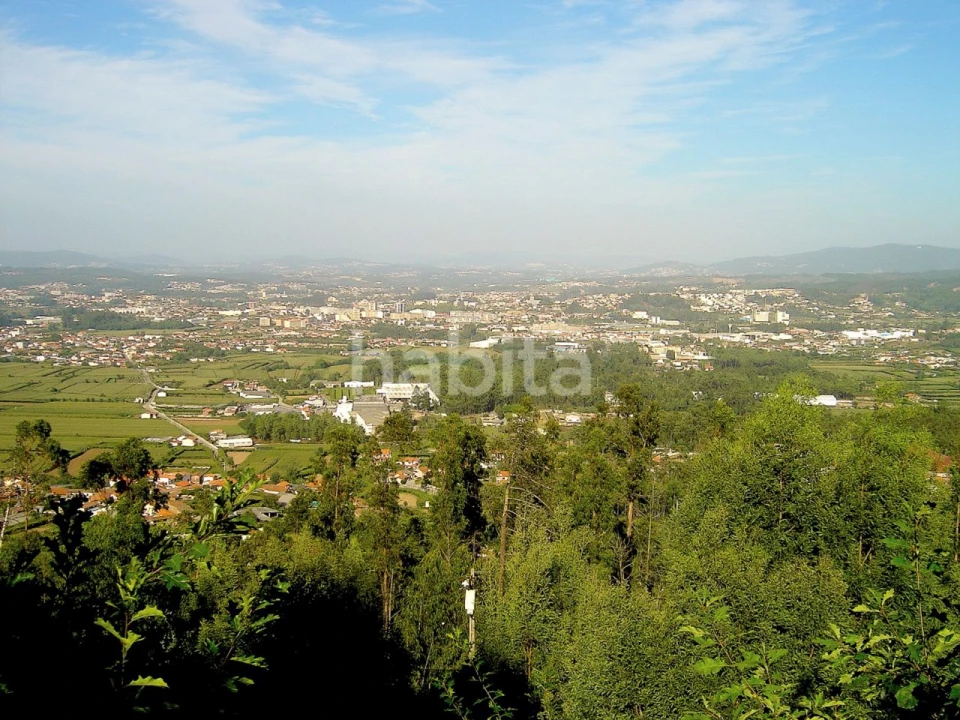 Loja para Venda em Bougado (São Martinho e Santiago) Foto 6
