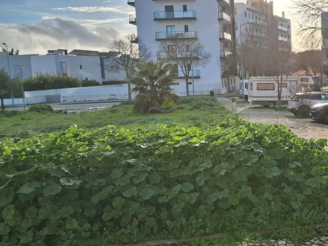 Terreno para Venda em Loule (São Clemente) Foto 2