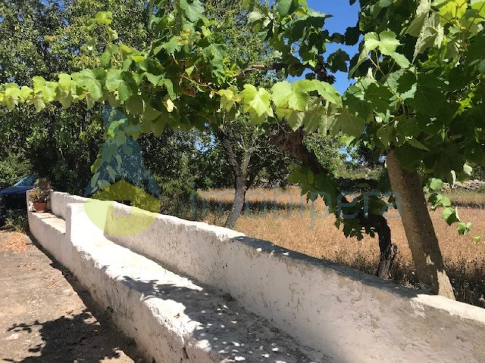 Moradia T4 para Venda em Algoz e Tunes Foto 3