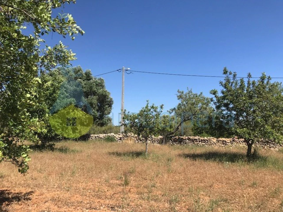 Moradia T4 para Venda em Algoz e Tunes Foto 26