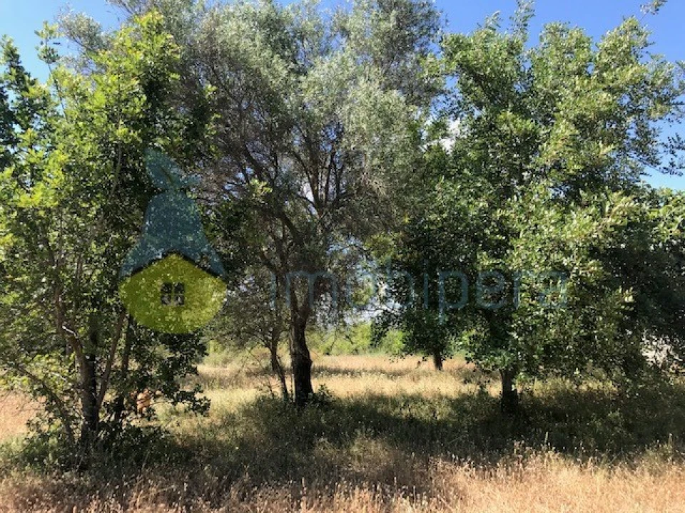 Moradia T4 para Venda em Algoz e Tunes Foto 30