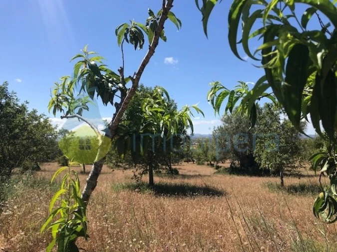 Moradia T4 para Venda em Algoz e Tunes Foto 7