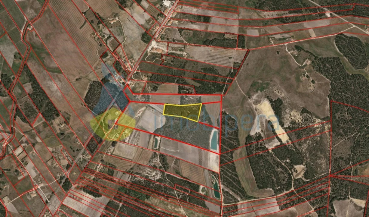 Terreno Agricola ou Rústico para Venda em Rogil Foto 3