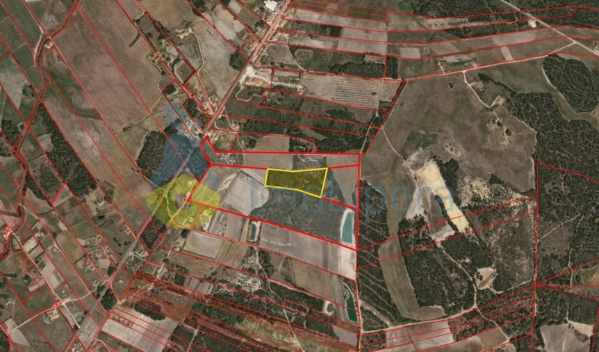 Terreno Agricola ou Rústico para Venda em Rogil Foto 3