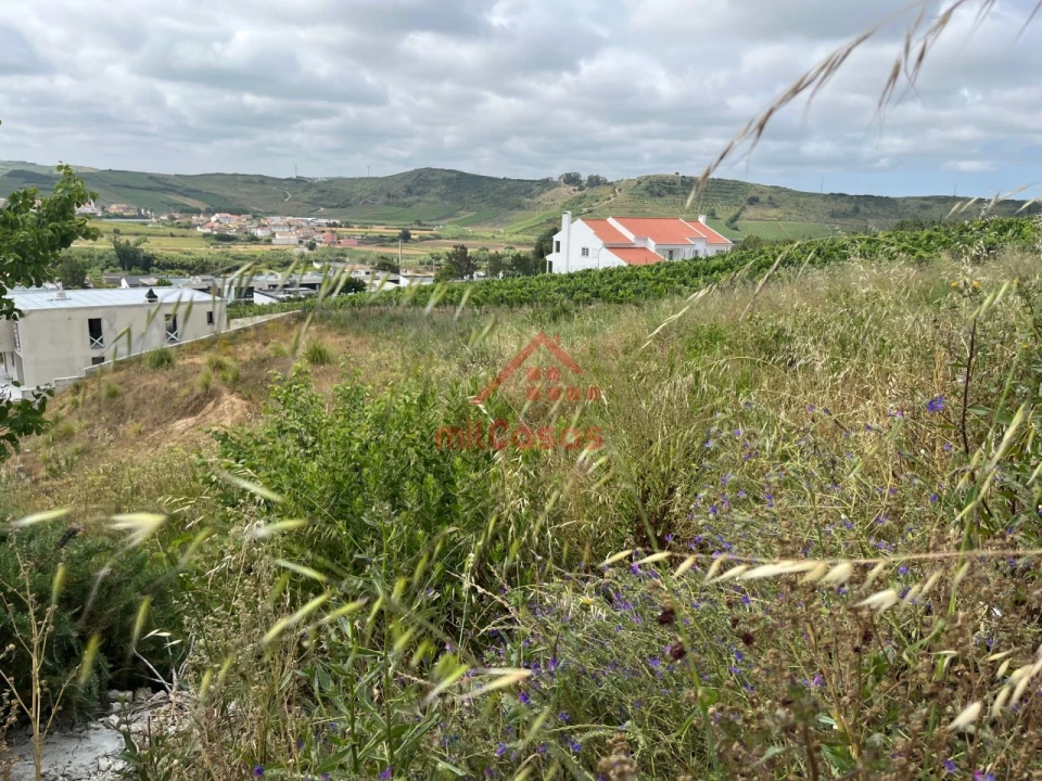Terreno para Venda em Ponte do Rol Foto 4