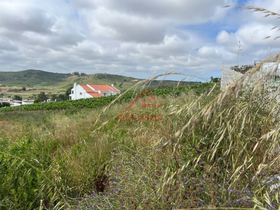 Terreno para Venda em Ponte do Rol Foto 5