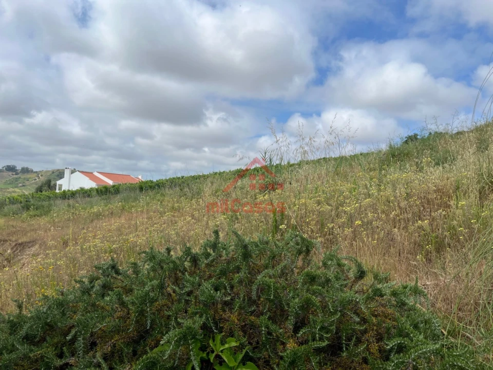 Terreno para Venda em Ponte do Rol Foto 9