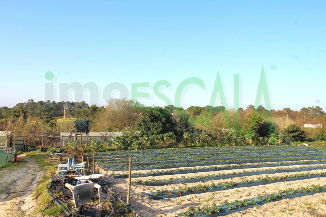 Terreno para Venda em Aveiras de Cima Foto 11